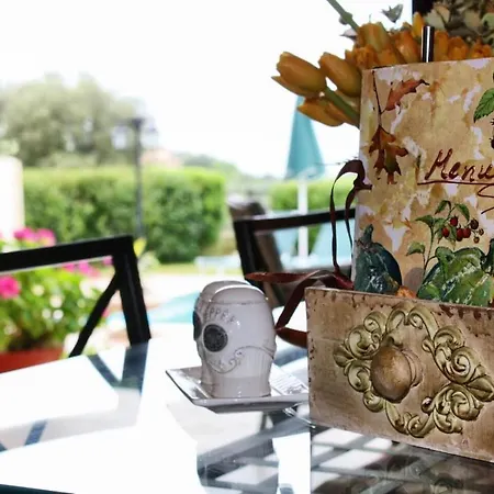 Willa Traditional Mandola *