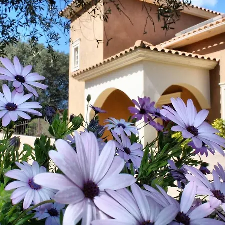 Willa Traditional Mandola