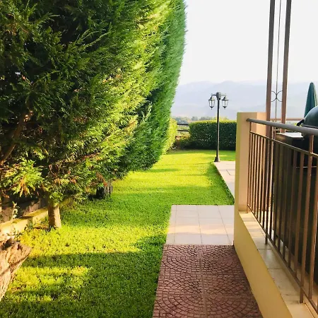 Traditional Mandola *