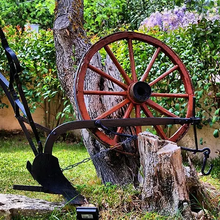 别墅 Traditional Mandola