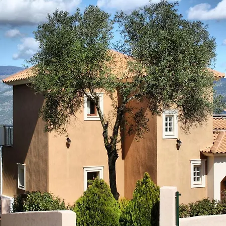 别墅 Traditional Mandola *